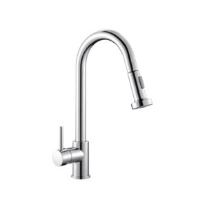 Reginox Marta Pull Out Chrome Tap